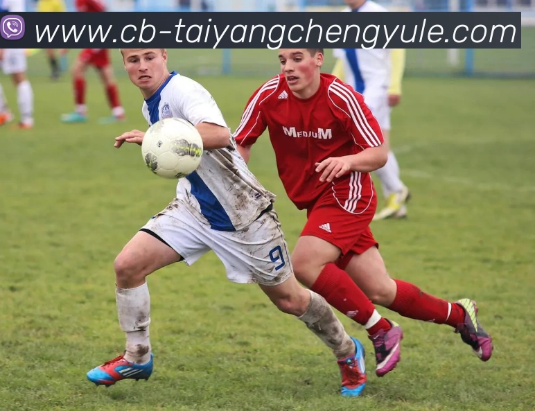 App Interface Preview