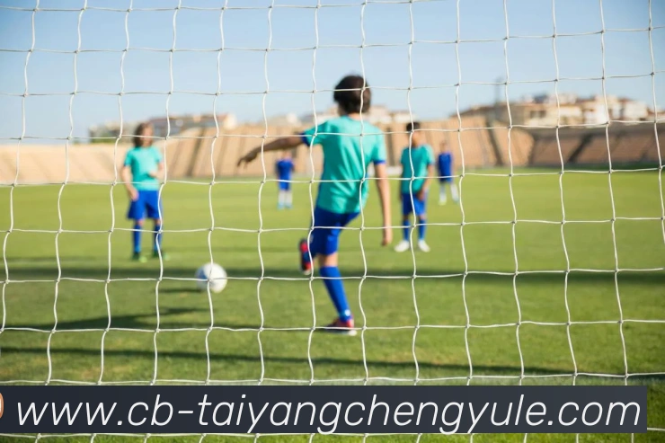 澳门太阳城APP 封面图